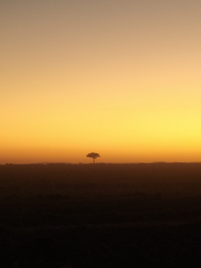 Sunset in Maasai Mara