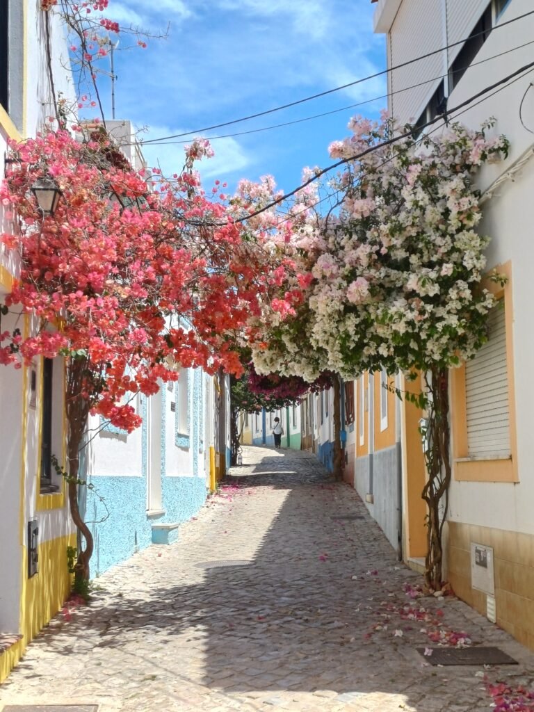 A charming street in Ferragudo with vibrant flowers adorning the walls