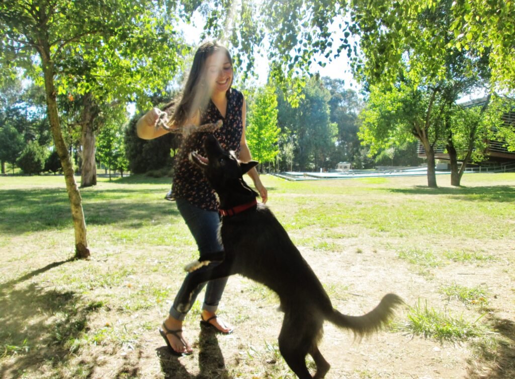 girl and dog playing at a park