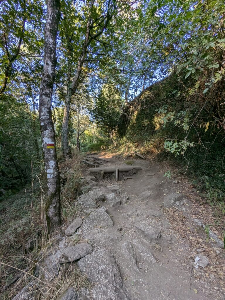 Marked trail at Barragem da Queimadela, showing a clear path through a forested area.